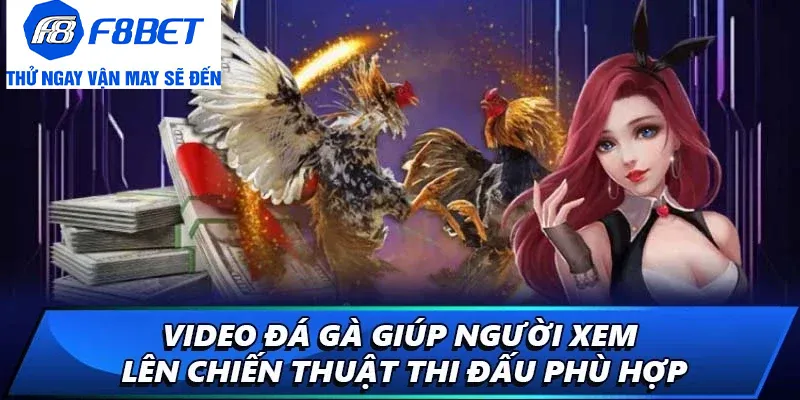 giới thiệu video đá gà
